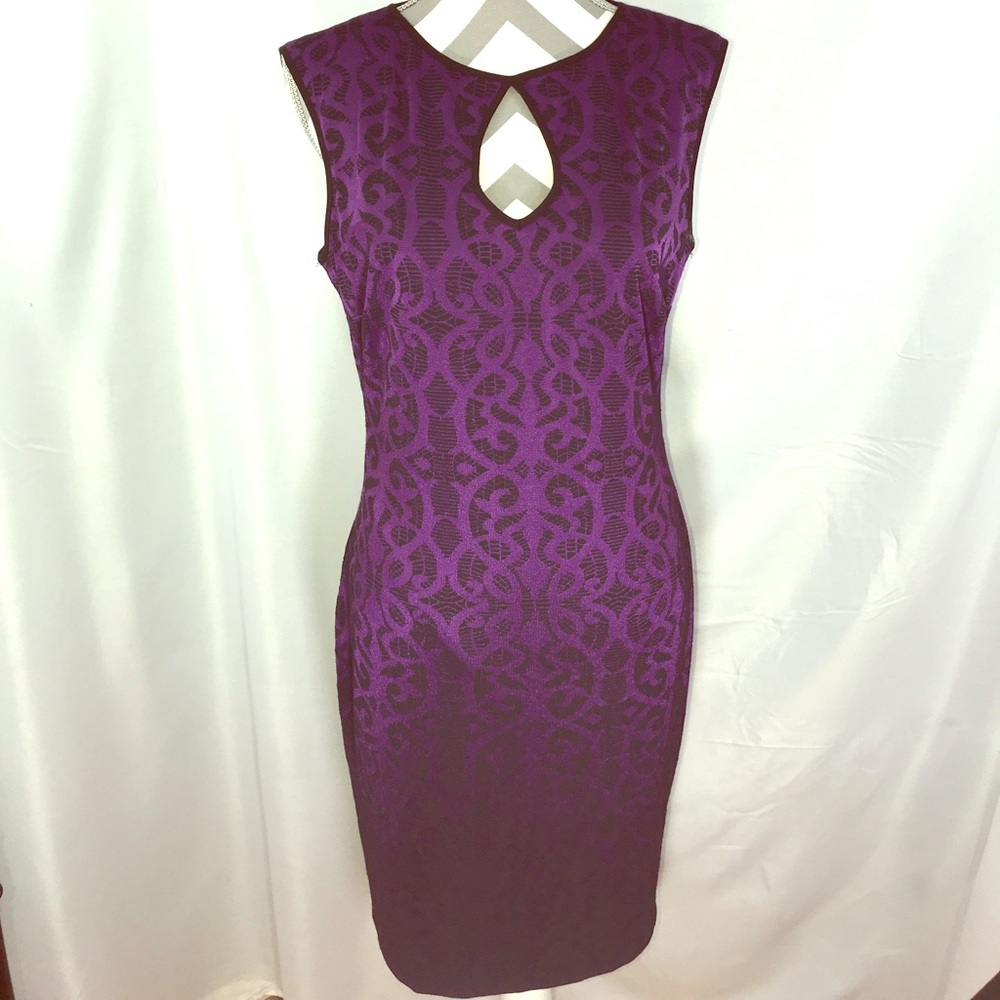 Cache Fitted Dress